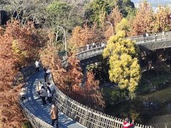 -福道