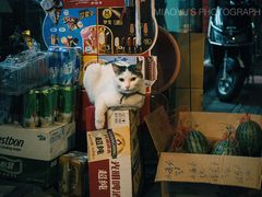-丰裕里