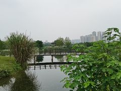 -眉山湿地公园(东坡区)