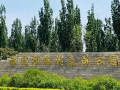 -永定河休闲森林公园