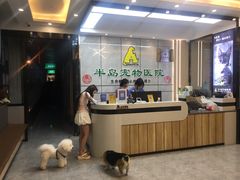 -半岛宠物医院24小时(西派城店)