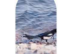 -济南国际园博园