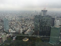 -东京都厅舍