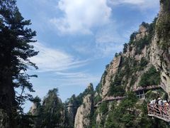 -老君山风景名胜区