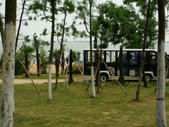 -瑶湖郊野森林公园