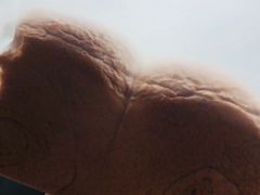 -风车面包
