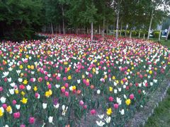 -长春公园(普阳街道)