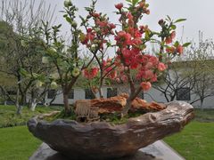 -荆川公园