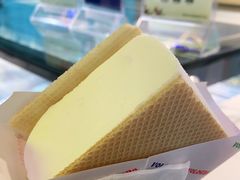 -沃洛格达(万象城n次方店)