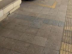 -荷花酒家(体育中心店)