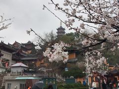 -卓粤拉肠(红庙店)