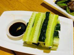 芥末黄瓜-新疆伏拉沃餐厅(白龙南路店)