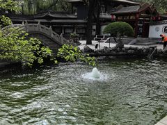 -碑林公园