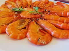 -外沙疍家棚酒楼