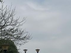 -东莞植物园