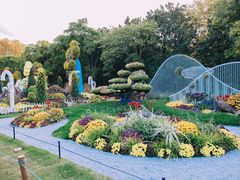 -上海共青森林公园