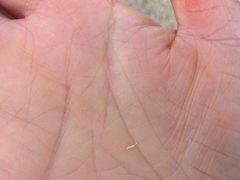-疏芬山金矿