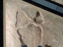 -湖南省地质博物馆