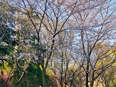 -白塘生态植物园