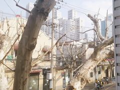 -蝶舍·MAISON PAPILLON