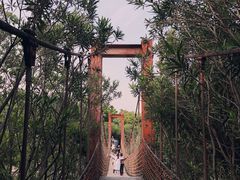 -吴淞炮台湾湿地森林公园烧烤区