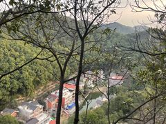 -南山植物园