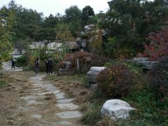 -燕郊植物园