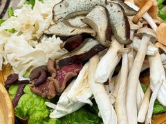 -阿山卓·野生菌火锅·纳西火塘烤肉