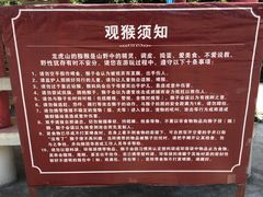 -广西龙虎山风景区