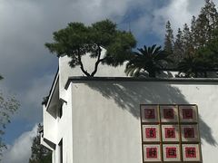 -龙华素斋(龙华路店)