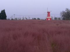 -羊亭河湿地公园