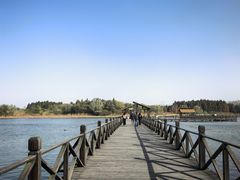 -溱湖国家湿地公园