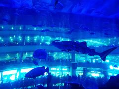 -成都浩海立方海洋公园