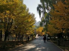 -长白岛森林公园