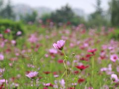 -城市运动公园(未央区)