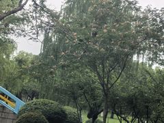 -中央公园(苏州工业园区)