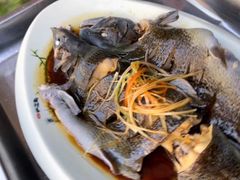 清蒸虹鳟鱼-卧龙堡客栈·中餐厅(古北水镇店)