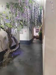 -盘子女人坊生日照·摄影馆(华强店)