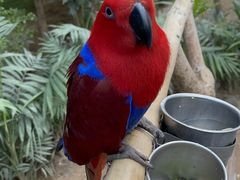 -南宫五洲植物乐园