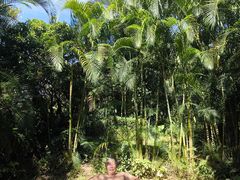 -碧桂园润杨溪谷温泉酒店