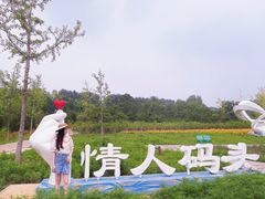 -东郊湿地公园