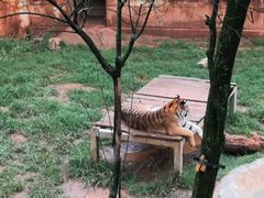 -昆明动物园