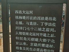 -桃花堤公园