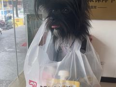 -艾贝尔宠物医院 ·中兽医·宠保定点(北门桥店)