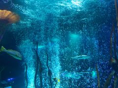 -沈阳海洋探索中心