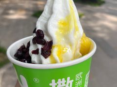 -Salud撒露欧洲冻酸奶(798艺术区店)