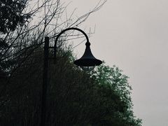 -杭州植物园