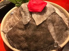 -袁老四重庆老火锅(桐梓坡店)