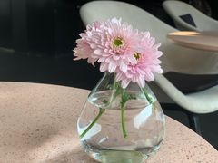 -简象咖啡CAFE ELE JANE(满陇桂雨店)