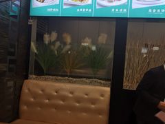 -名羊天下陕北横山铁锅炖羊肉(博文路店)